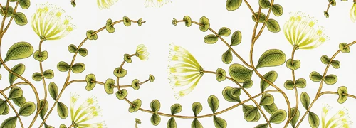 Marimekko Kuusama Green PVC Fabric 3 Marimekko Kuusama Green PVC Fabric