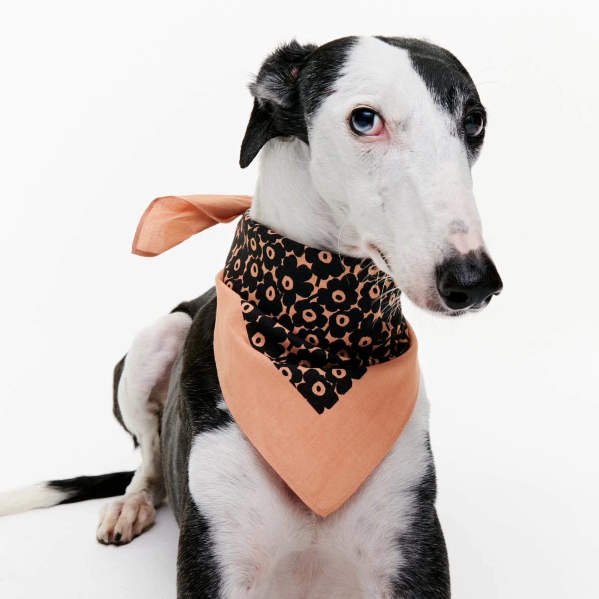 Marimekko Mini Unikko Brown / Black Astrilli Scarf 3 Marimekko Mini Unikko Brown / Black Astrilli Scarf