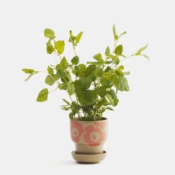 Marimekko Unikko Brown Terra / Pink Small Plant Pot