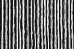 Marimekko Varvunraita Black/White Upholstery Fabric